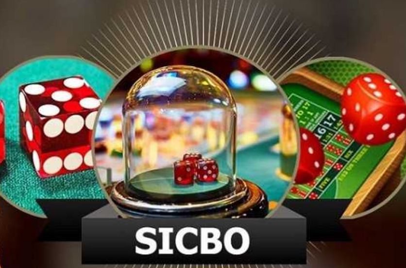 Game Sicbo mang đến tiền tài cho người chơi